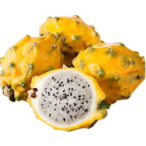Yellow Pitahaya-about-250g