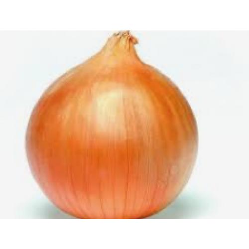 Onion-500g