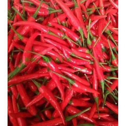 Thai Chilli-100g