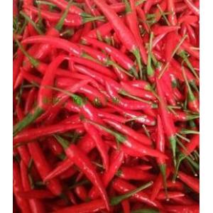 Thai Chilli-100g