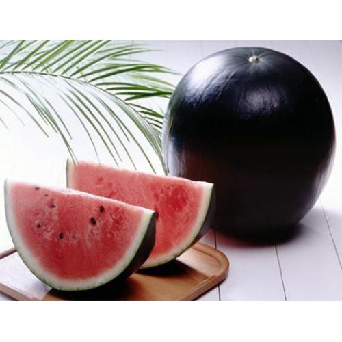 watermelon -about -5kg