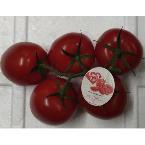 Belorta plum Tomato-5pc