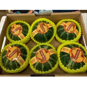 Baby pumpking -6pcs