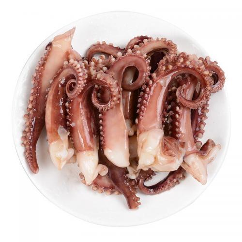 Holmes Frozen Squid Tenticals-800g