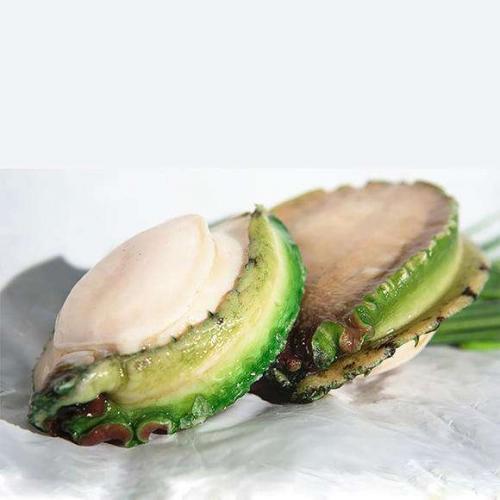 Frozen Australian Abalone Sashimi Grade 8pcs/1kg