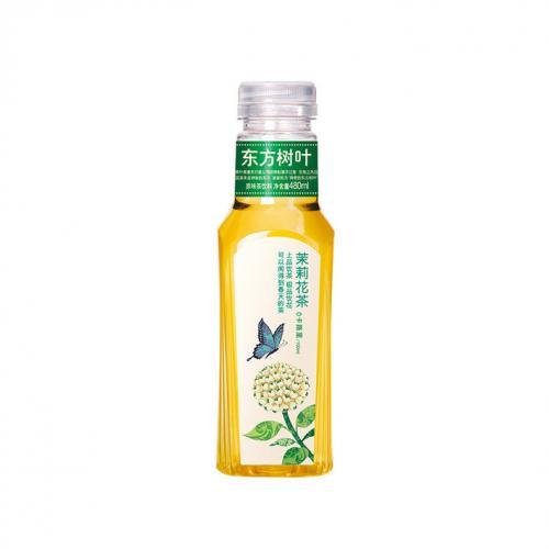 NFSQ Jasmine Tea 500ml