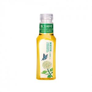 NFSQ Jasmine Tea 500ml