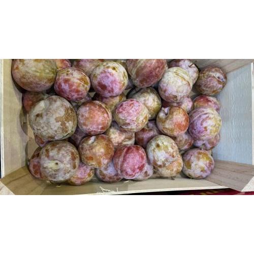 Fresh Ciruela-2kg